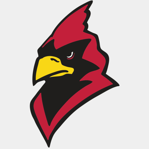 AR CARDINAL 22 RC Thumbnail