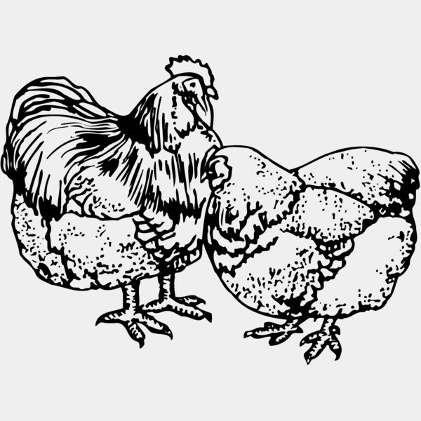 CHICK018 Thumbnail