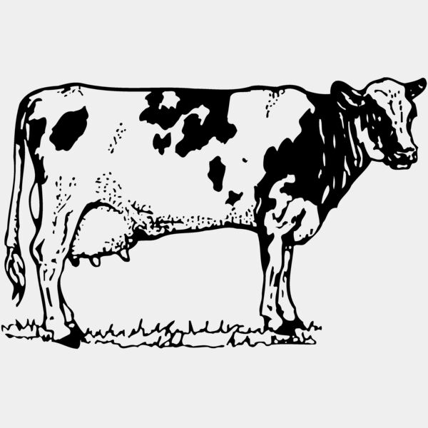 COW026 Thumbnail
