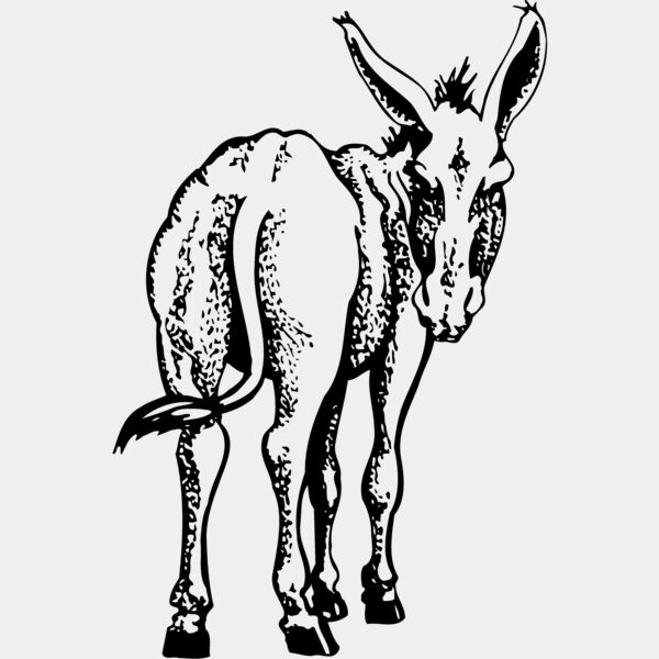 BURRO003 Thumbnail