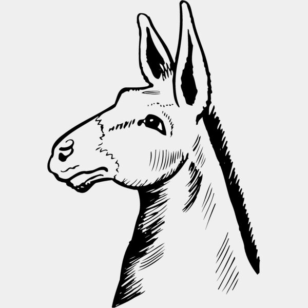 BURRO014 Thumbnail