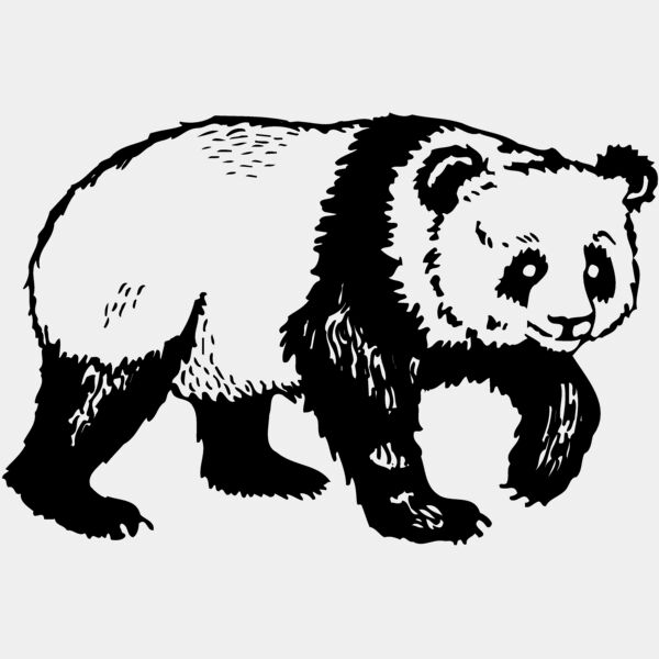 BEAR019 Thumbnail