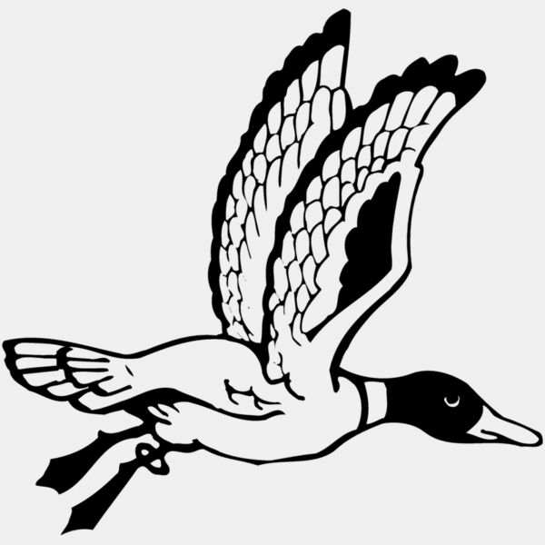 BIRD069 Thumbnail