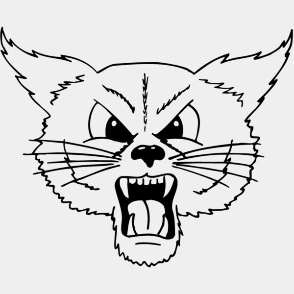 CAT20 Thumbnail
