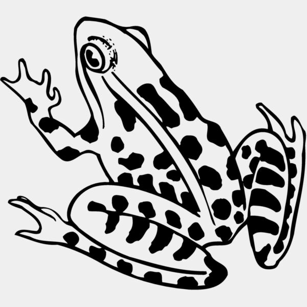 FROG01 Thumbnail
