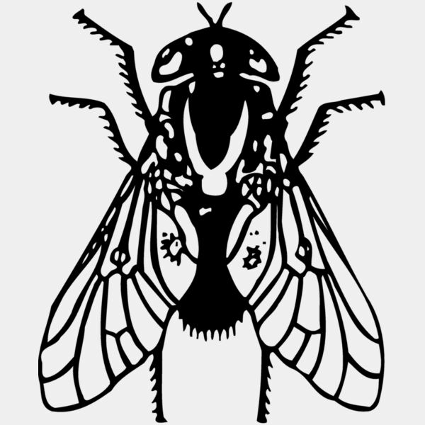 FLY02 Thumbnail