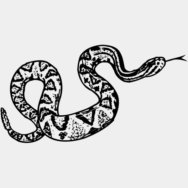 SNAKE011 Thumbnail
