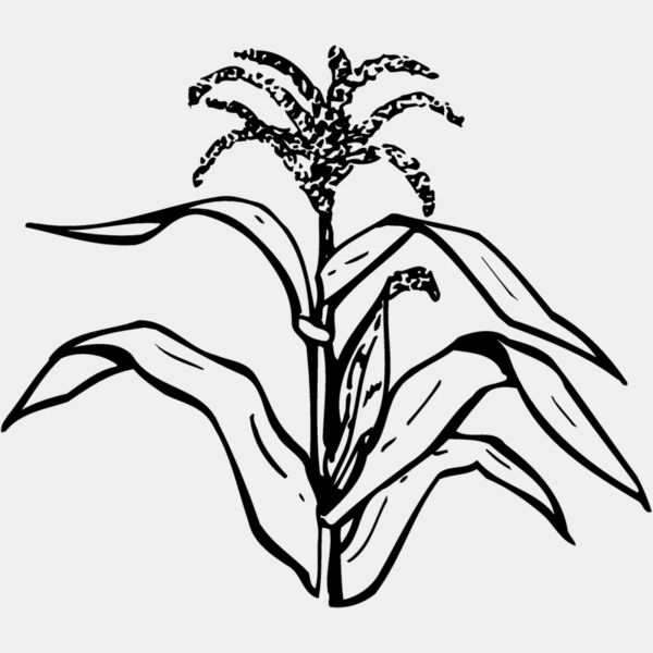 GRAIN002 Thumbnail