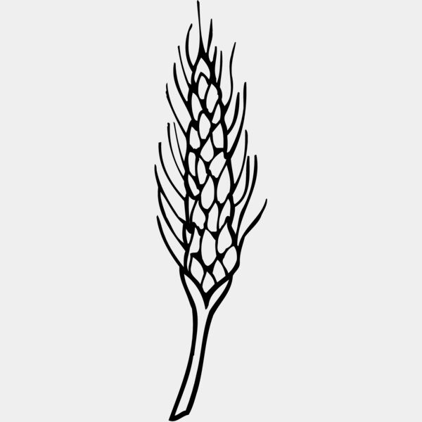 GRAIN010 Thumbnail